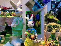 -双季花艺园艺市场(浦东店)