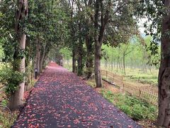 -帐篷客·溪龙茶谷度假酒店