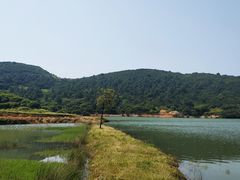 -大姆山草场