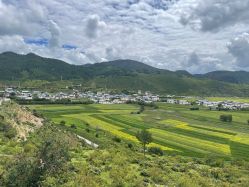 -纳帕海依拉草原
