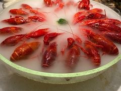 -红盔甲·小龙虾(天钥桥店)