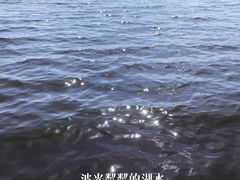 -杭州湾海上花田景区