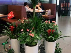 -西堤牛排(合肥之心城店)