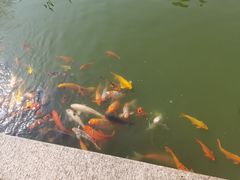 -檀园
