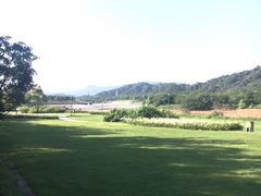 -风云岭森林公园