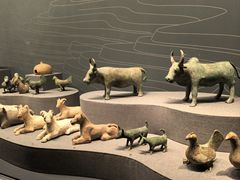 -广西壮族自治区博物馆