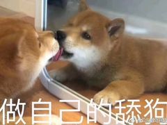 -羊肉街口老银川滩羊涮肉馆