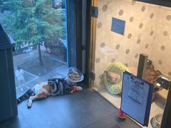 -宠爱国际动物医院·疑难骨科·心肾内科·皮肤科(太阳宫店)