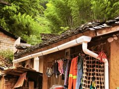 -杨家堂村