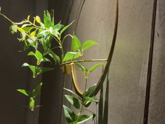 -禧瑞 ·丝浴主题·水疗·spa(中山公园店)