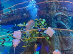 -观音桥步行街
