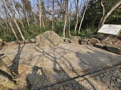 -上海佘山国家森林公园天马山园