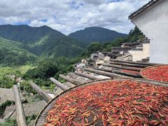 -婺源风景区