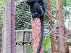 -红山森林动物园