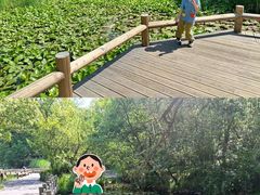 -天目湖涵田度假村