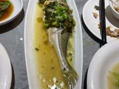 -老绍兴养和饭店(向阳不夜城店)