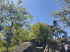 -沂蒙山旅游区云蒙景区(蒙山国家森林公园)