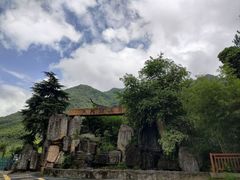 -东天目山风景区