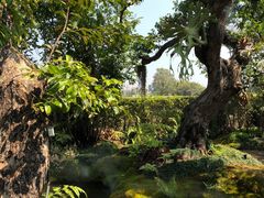 -Chom Cafe and Restaurant