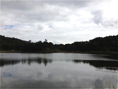 -海南热带雨林国家公园吊罗山景区