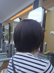 -藤野造型