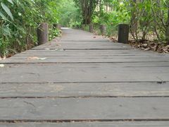 -新江湾城公园