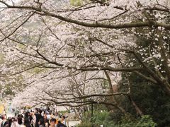 -杭州少年儿童公园