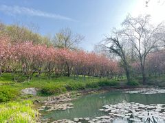 -南京市江宁方山