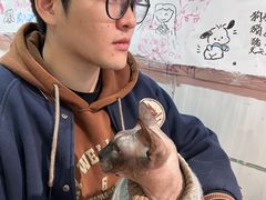 -李小姐の猫咖啡馆(五角场店)