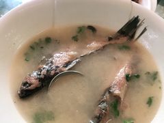 -草根堂农场