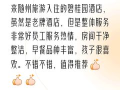 -随州碧桂园凤悦凤凰酒店