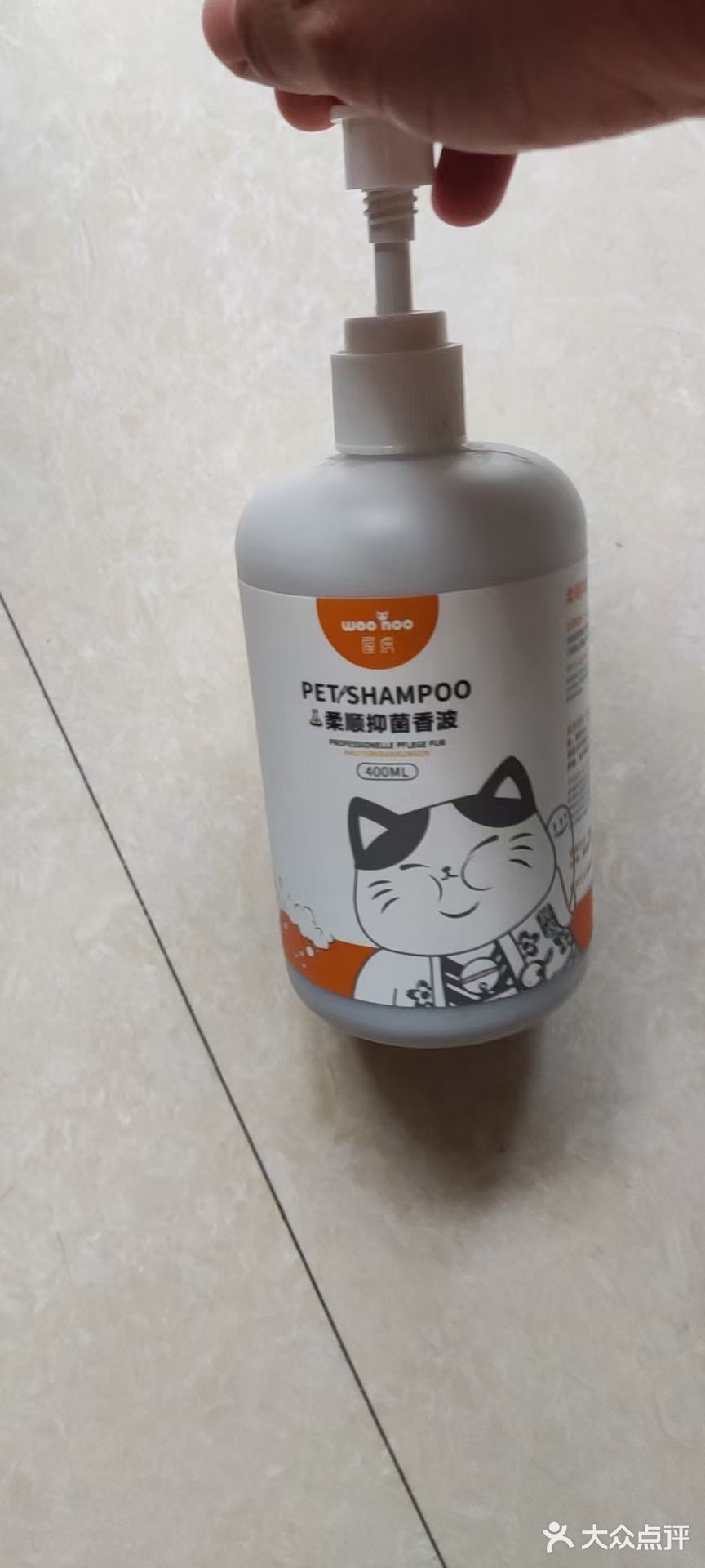 洗猫大行动