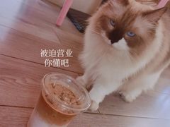 -灯塔咖啡馆BOOK·Coffee Shop