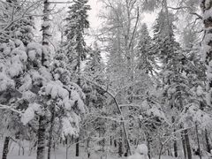 -雪谷