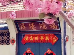 -莱阳濯村樱花园