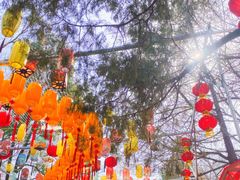 -千佛山风景名胜区