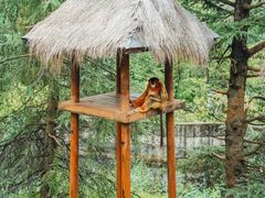 -云南野生动物园