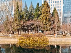 -元大都城垣遗址公园