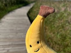 -野鸭湖国家湿地公园