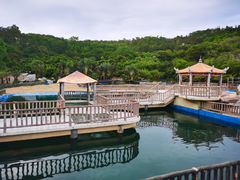 -广东惠东海龟国家级自然保护区