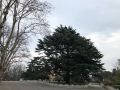 -青岛德国总督楼旧址博物馆