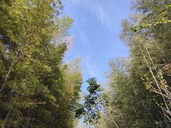-九龙潭景区