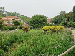 -鼓浪屿内厝澳码头(轮渡站)