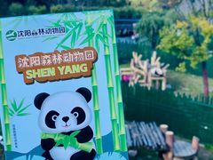 -沈阳森林动物园