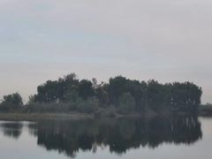 -蒲河岛湿地公园