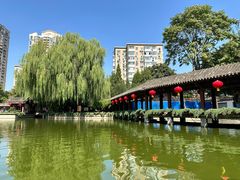 -团结湖公园