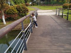 -尚贤河湿地