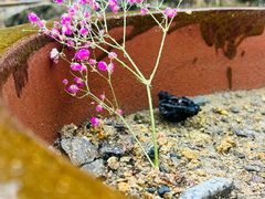 -余姚市灵岩禅寺