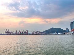 -招商蛇口邮轮母港(观光客运)