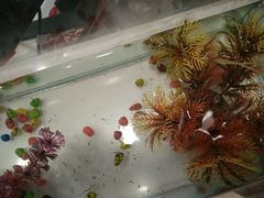 -嘉和一品粥(首经贸店)